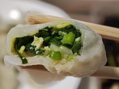 韭菜鸡蛋虾仁水饺-新兴园饺子馆(北京百子湾店)