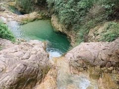 -南海湾森林生态园
