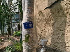 -南山植物园