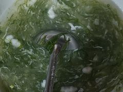-坛南湾阿强农家乐.海鲜大排档老字号(福州地标美食店)