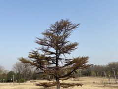 -太阳宫公园