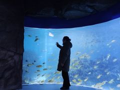 -海合安成都极地海洋公园