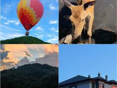 -五营红松林海景区