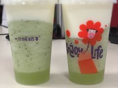 蜜瓜酸奶摇-一只酸奶牛(群光店)