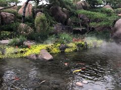 -罗红摄影艺术馆