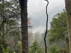 -黔灵山公园