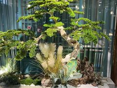 -渝乡辣婆婆·川菜 水煮鱼(中山西路店)