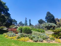 -墨尔本皇家植物园