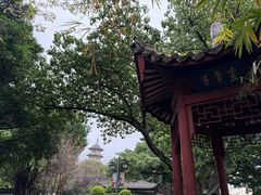 -乌山风景区