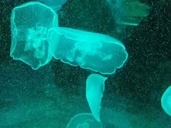 -石林冰雪海洋世界