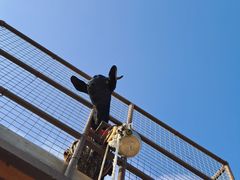 -珠海海泉湾神秘岛亲子乐园