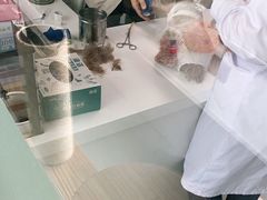 -欧奕国际动物医院