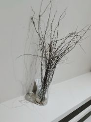 -无界瑜伽普拉提