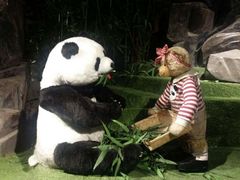 -成都泰迪熊博物馆