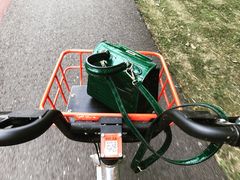 -艾溪湖湿地公园