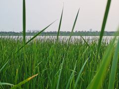 -绿堤公园