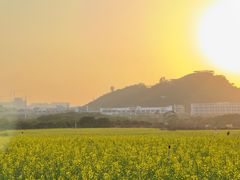 -光明小镇欢乐田园