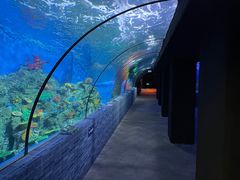 -北海海底世界