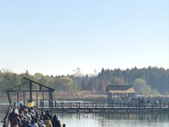 -溱湖国家湿地公园