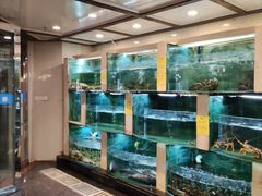 -石湖大酒店(桐泾店)