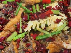 -老板恋上鱼(恒隆广场店)