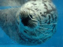 -泉城欧乐堡海洋极地世界