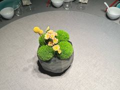 -南堂馆·新川菜(春熙路店)