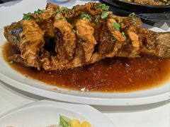 -金春禧(英雄山路旗舰店)