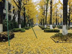 -百林公园-两江幸福广场