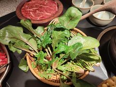 -季季山·云南野生菌火锅(上海首店)