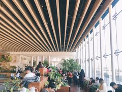 -Seesaw Coffee(朝阳大悦城店)