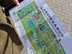 -上海海湾国家森林公园