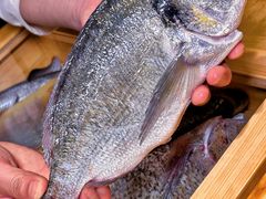 -镹·鱼料理  国产鱼使用店