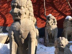 -正定古城-开元寺