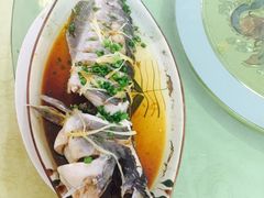 豉汁蒸叉尾鱼-铭杨农庄