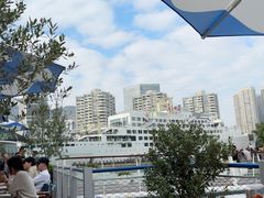 -润园四季椰子鸡火锅(海上世界店)