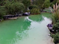 -上海吴淞炮台湾国家湿地公园