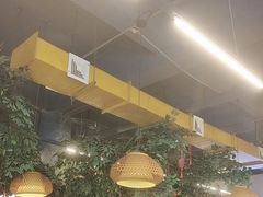 -成老灶火锅鸡(平山店)