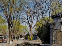 -三里河公园