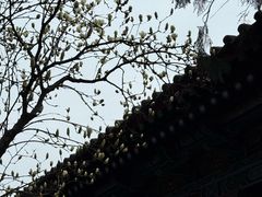 -湘子庙