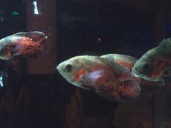 -北京邮电会议中心