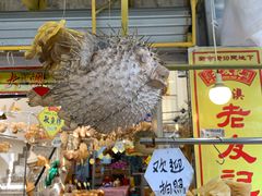 -大澳渔村及棚屋