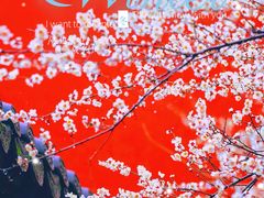 -钱王祠