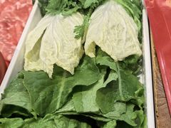 -南门四季铜锅涮肉(左家庄店)