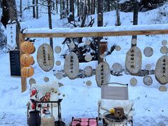 -峡谷浮石林景区