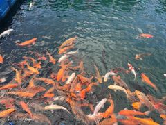 -千岛湖-欢乐水世界