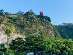 -南沙蒲洲花园