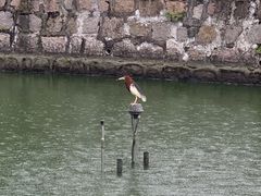 -石炮台公园
