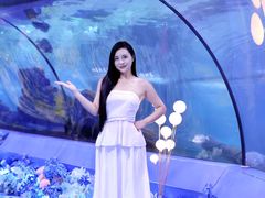 -重庆欢乐海底世界