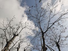 -芒洲湿地公园